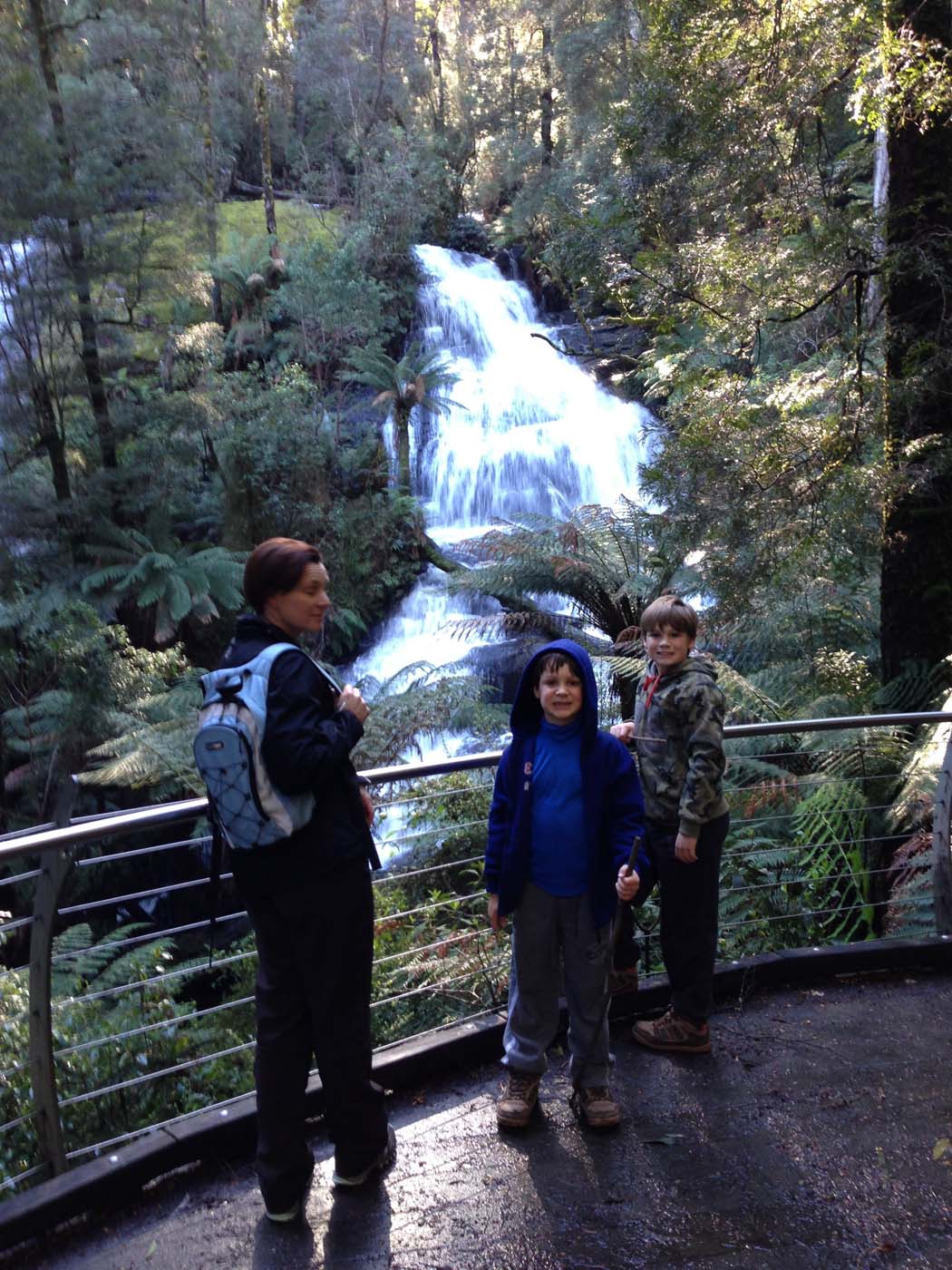 Triplet Falls Circuit Walk (1.8km) - Great Otway Natio…
